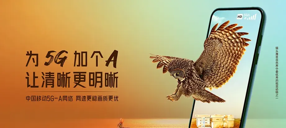 驿城区驿城区朱古洞乡 移动宽带